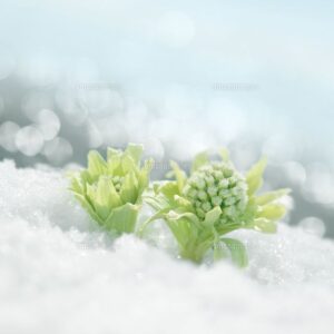 ◎予約空き情報◎(2/11〜)