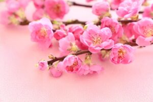 ◎予約空き情報◎(3/18〜)