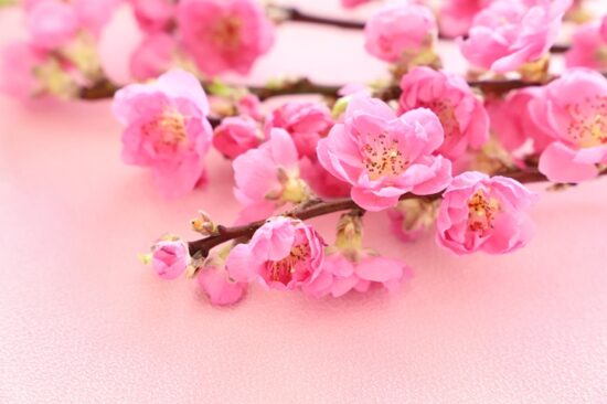 ◎予約空き情報◎(3/6〜)